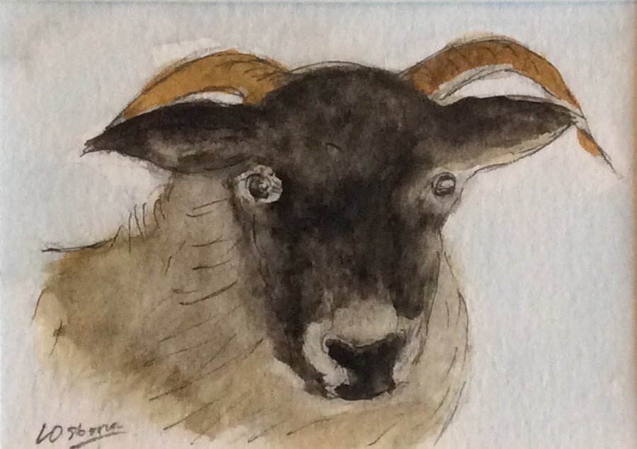 Blackface sheep - miniature painting 