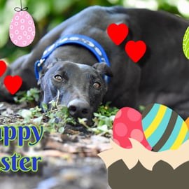 Happy Easter Greyhound Card A5