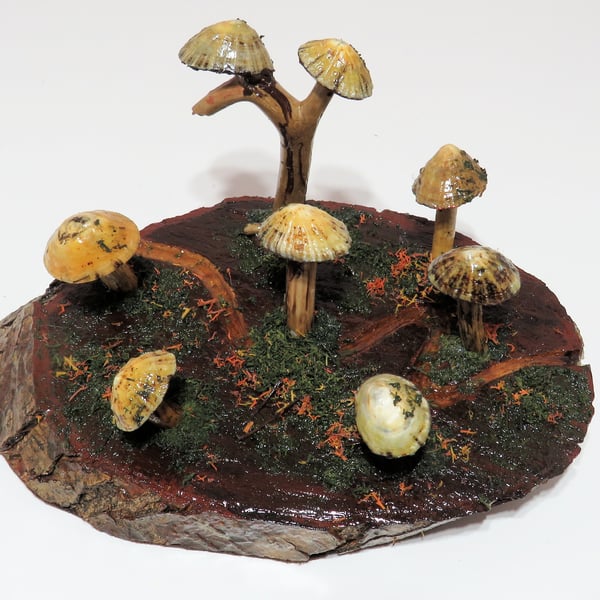 Unique woodland limpet shell and driftwood fairy ring scene ornament 