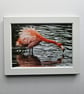 Framed Flamingo Print Size 