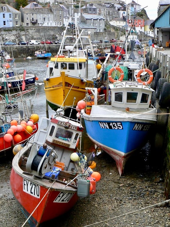 7" x 5" Photographic Card