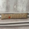 Seasons of the Year - Autumn - September Bowl Filler by Carolee Crafts SY 0015