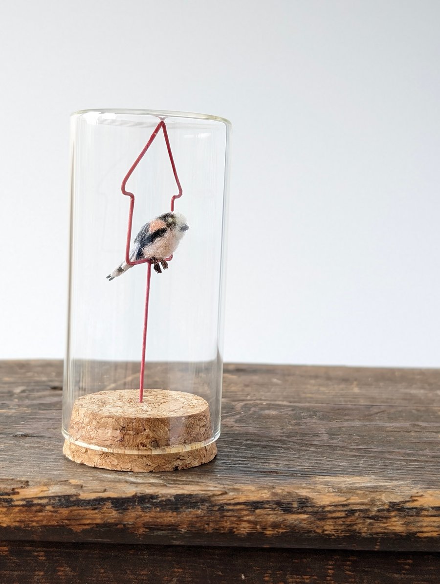 Tiny Long-tailed Tit in a Jar