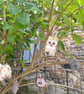Handmade Vintage Fabric Owls  - Image 5