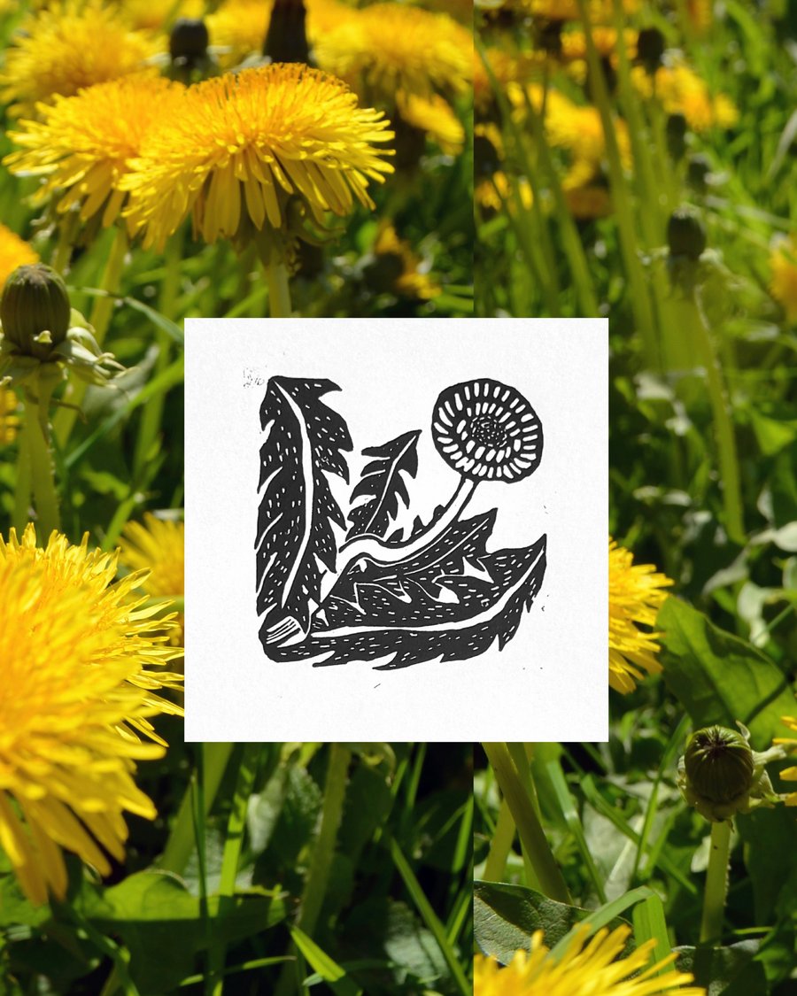 Bits & Botanicals