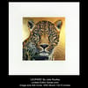 'Leopard'-  Limited Edition Giclee Print