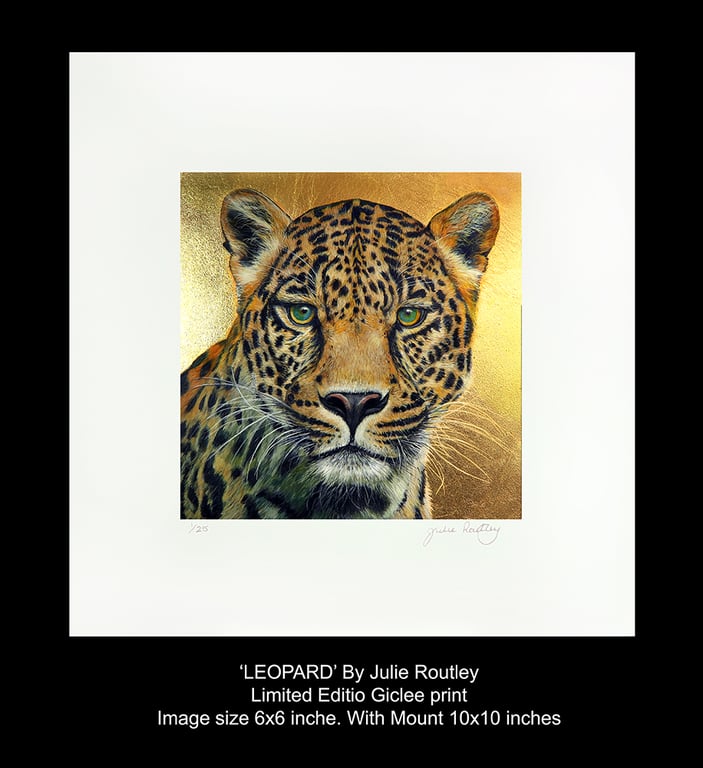 'Leopard'-  Limited Edition Giclee Print