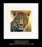 'Leopard'-  Limited Edition Giclee Print