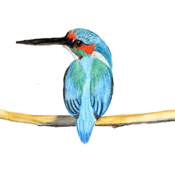 Kingfisher A4 Fine Art Print 