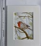 Robin in Spring bird (original watercolour painting) - Image 4