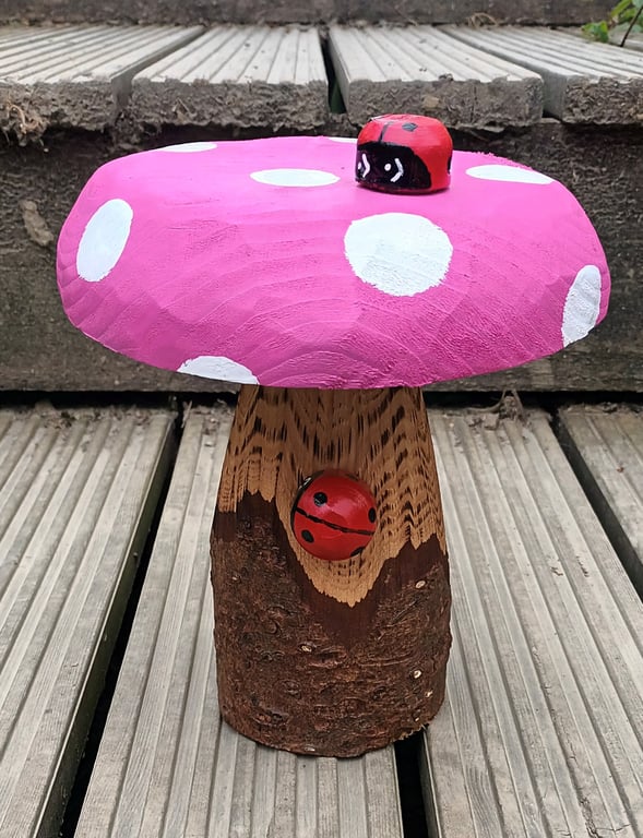 Pink Toadstool