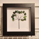 Simple little seaham seaglass tree sea glass in black box frame 