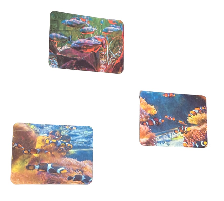 Set of 3 Handmade Tropical Fish Fridge Magnets – Colourful Aquarium Gift
