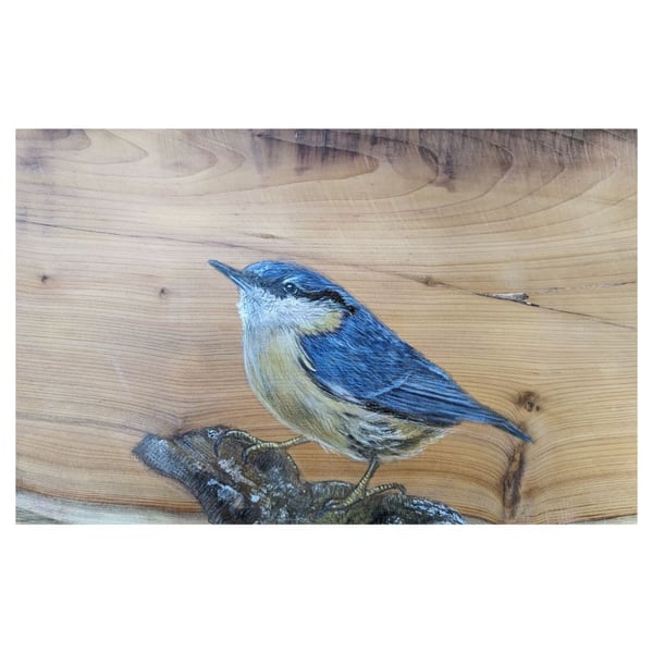 Original Nuthatch painting on reclaimed and repurposed wood