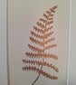 Fern leaf print. 'Fern' - Image 2