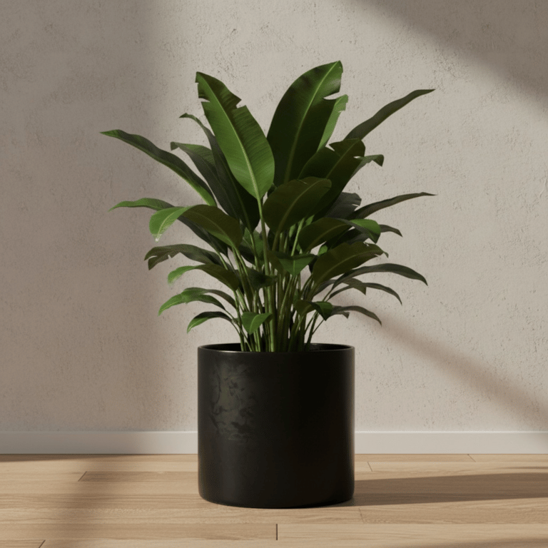 Extra Large Black Plant Pot Handmade Minimalist Planter