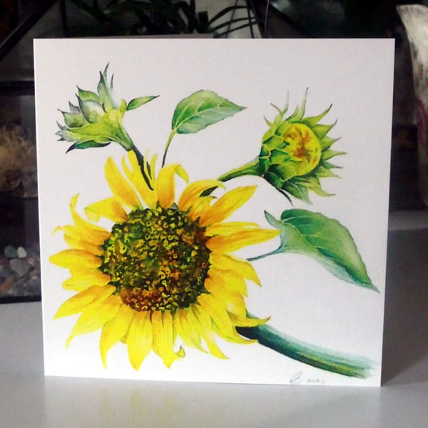 Sunflower Botanical Blank Greeting Card from Original Watercolour Painting