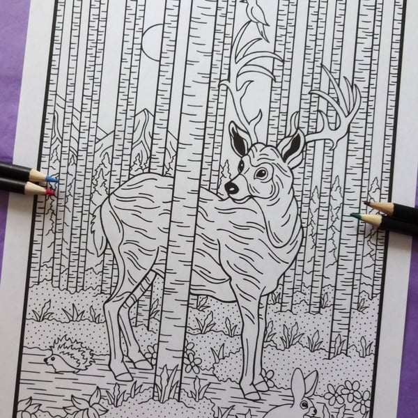 Deer Forest Animal A4 Colouring Page Printable JPG by S Godwin Studio