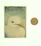 Original ACEO  Seagull Portrait Miniature Painting, Watercolour  - Image 3