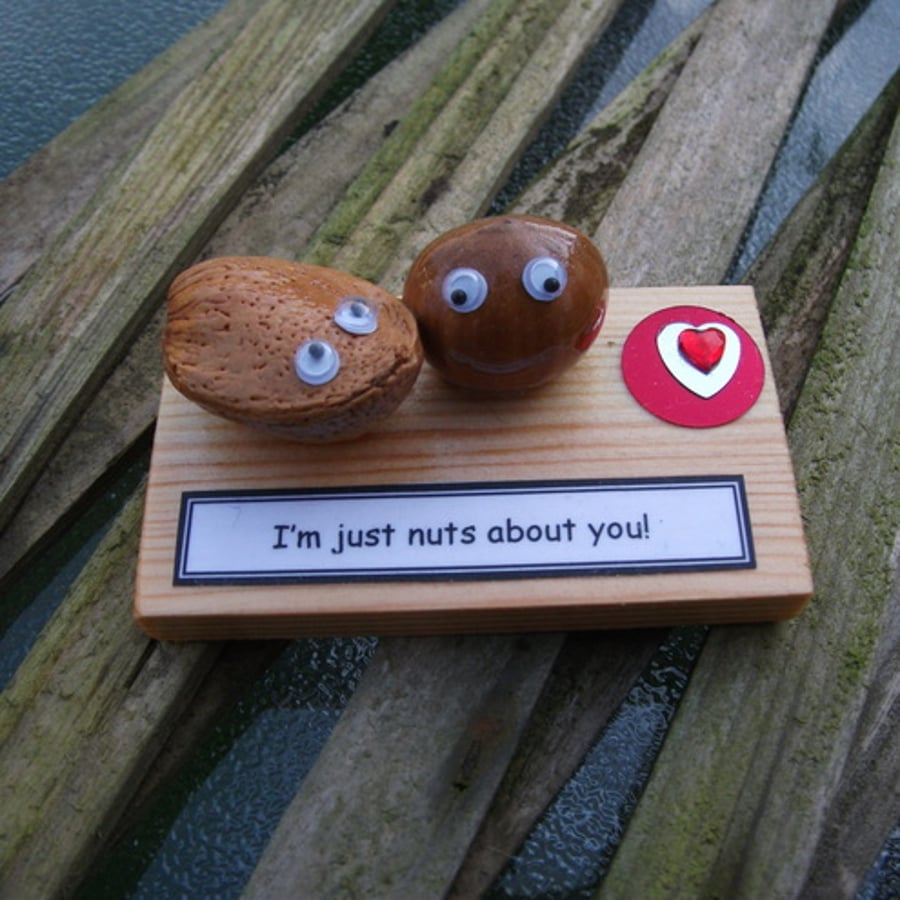 Nutty Gift - love