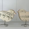 Music Bird