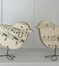 Music Bird - Image 1