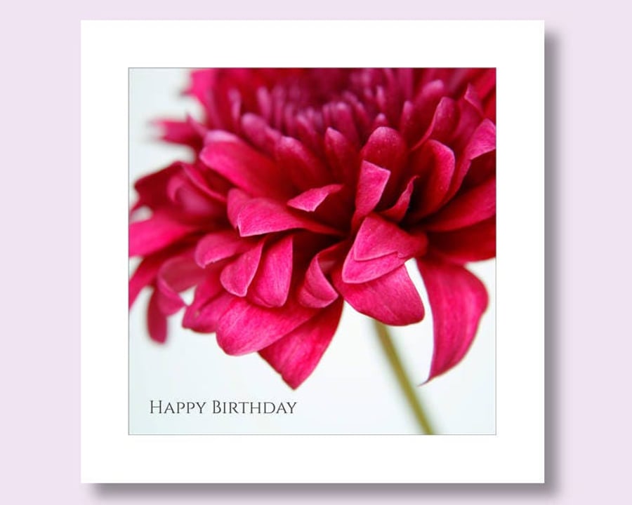 Chrysanthemum Birthday Card