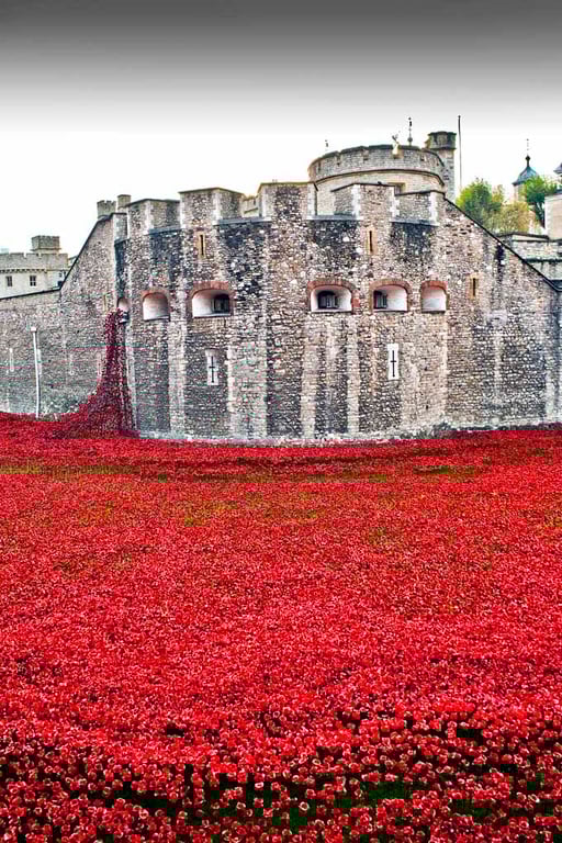 Tower Of London Poppies Red Poppy Photograph Print