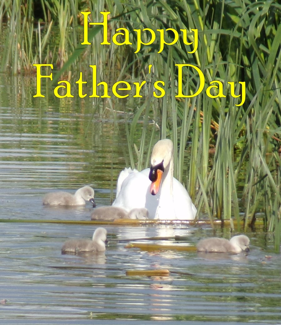 Father's Day Card A5 Male Swan & Cygnets 