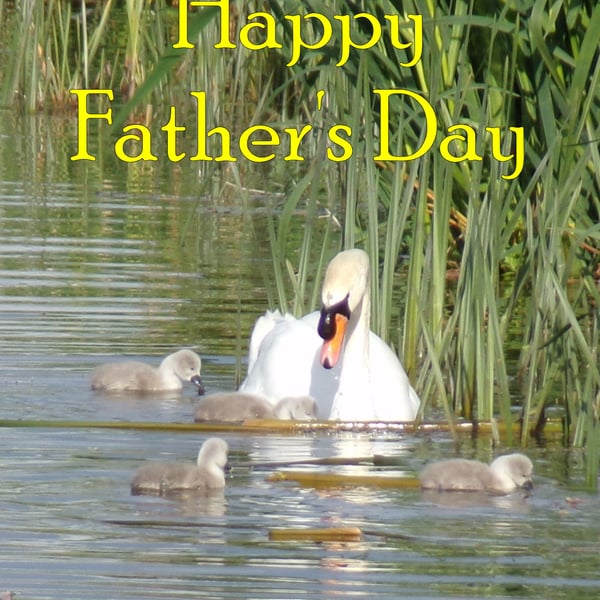 Father's Day Card A5 Male Swan & Cygnets 