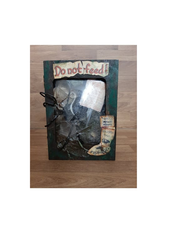 spider Halloween book