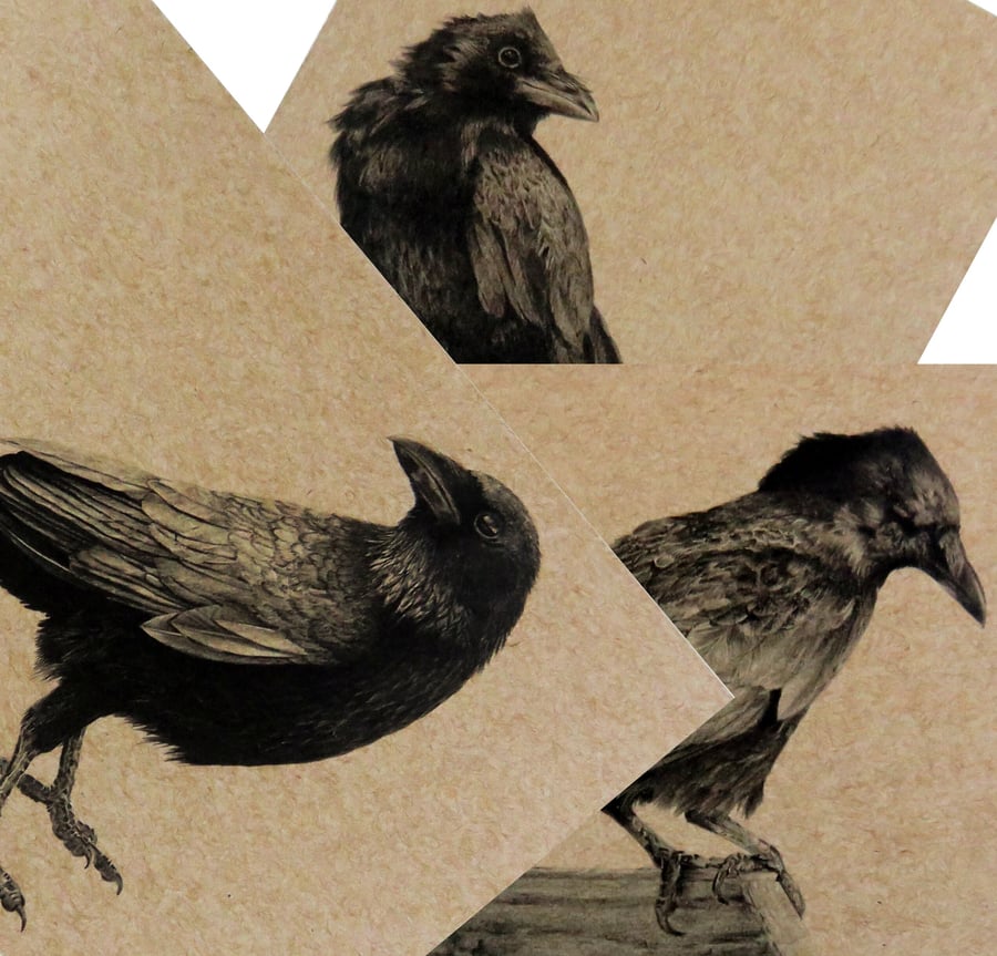 Crow print set on natural recycled card stock, A5