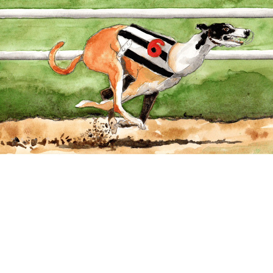 Greyhound racing. Original watercolour painting, signed by the artist.