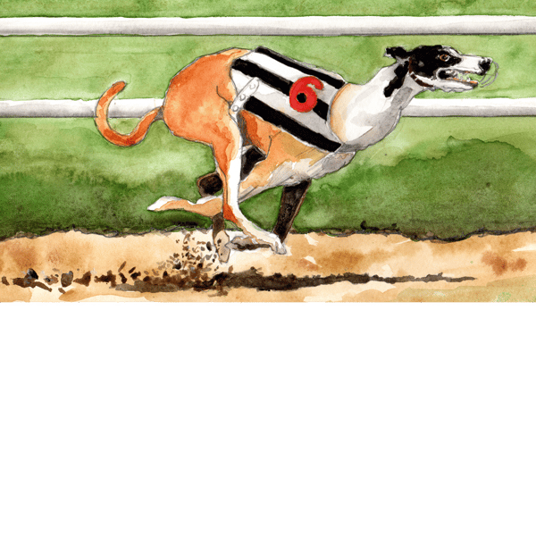 Greyhound racing. Original watercolour painting, signed by the artist.