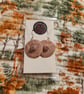 Serial killer trophy sliced off nipple earrings  - Image 4