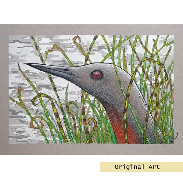 Red-Throated Diver bird portrait.  small bird drawing, original art gift
