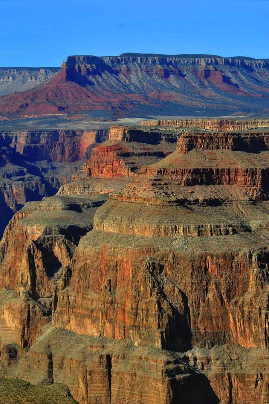 Grand Canyon Arizona United States Of America Photograph Print