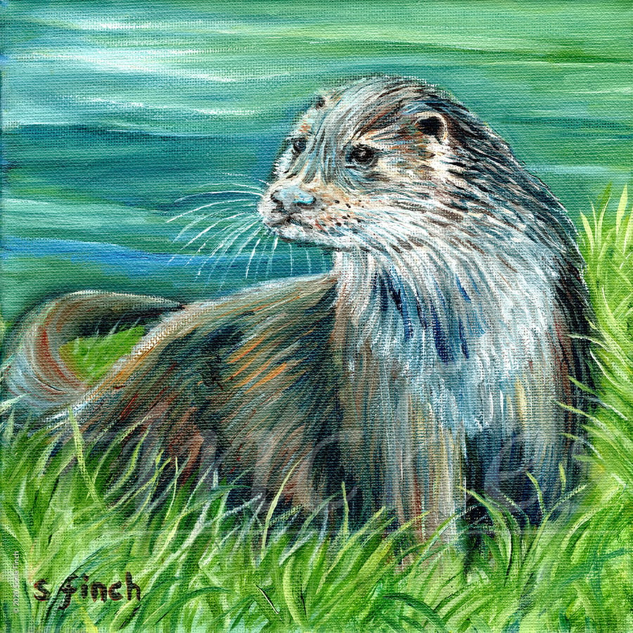Spirit of Otter - Limited Edition Giclée Print