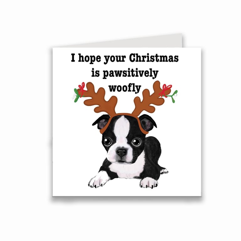 Boston terrier Christmas card