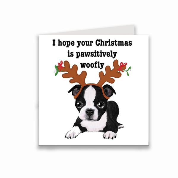 Boston terrier Christmas card