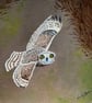 Short-eared Owl