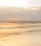 Photographic Lampshade, Crosby Beach, Liverpool, Coastal Lampshade, seaside lamp - Image 5