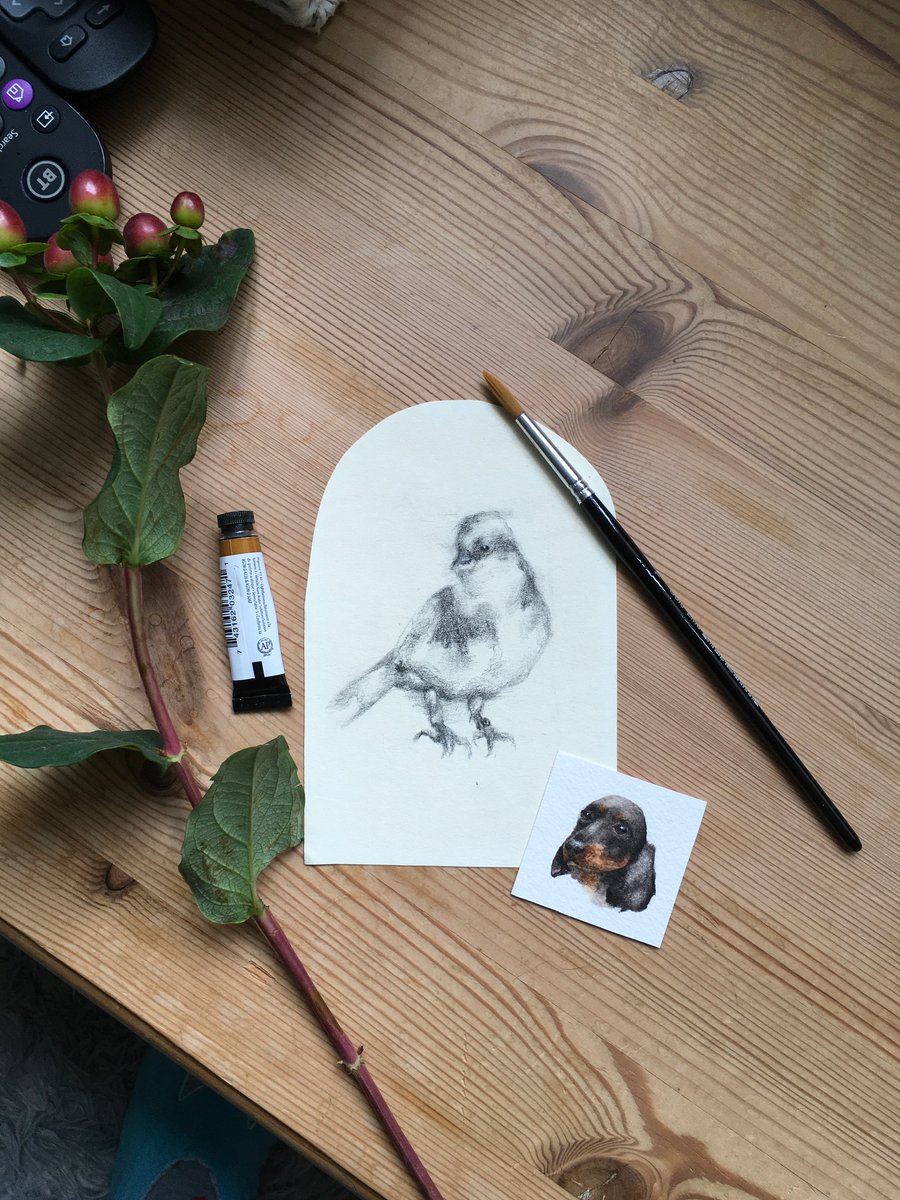 beththomsonart