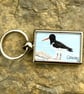 Oystercatcher Keyring