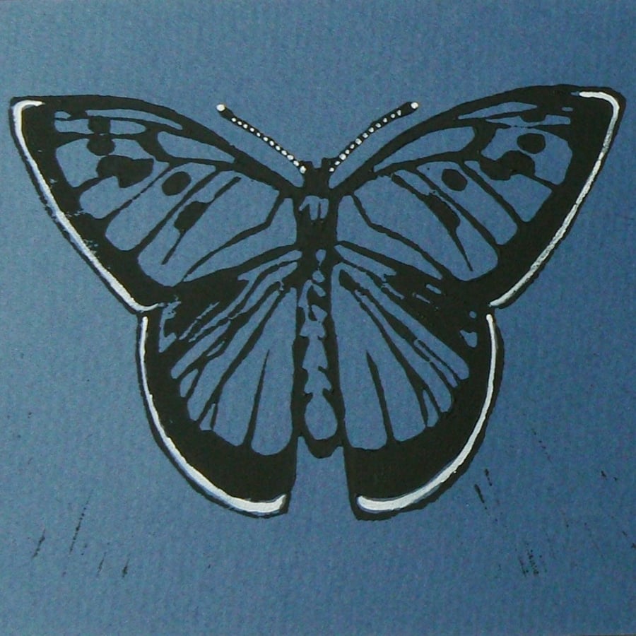 Large Blue Butterfly lino cut print