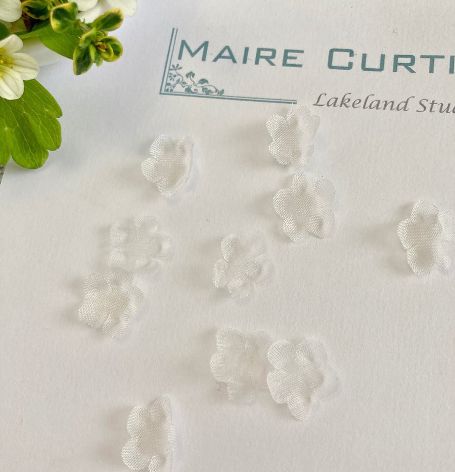 Ivory Silk Organza Forget me not flowers