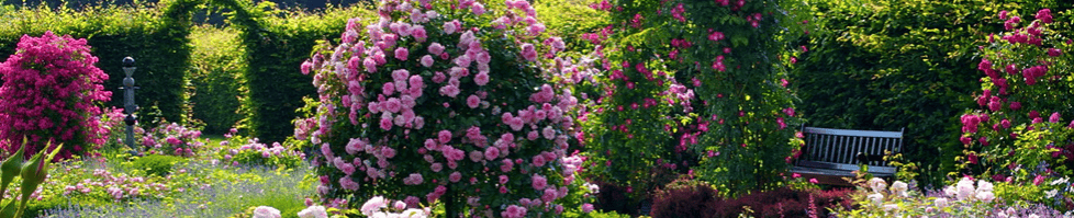 Wolds Plant Supports