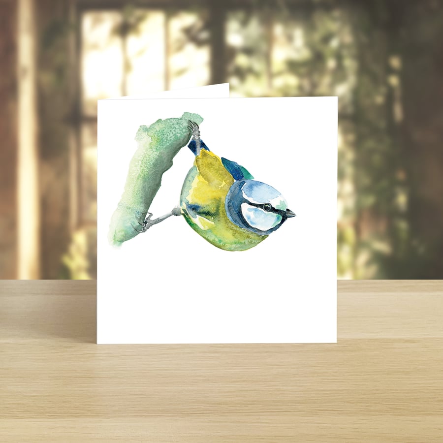 Blue Tit greeting card (blank)