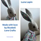 Luna Lapin, Luna Lapin & Friends