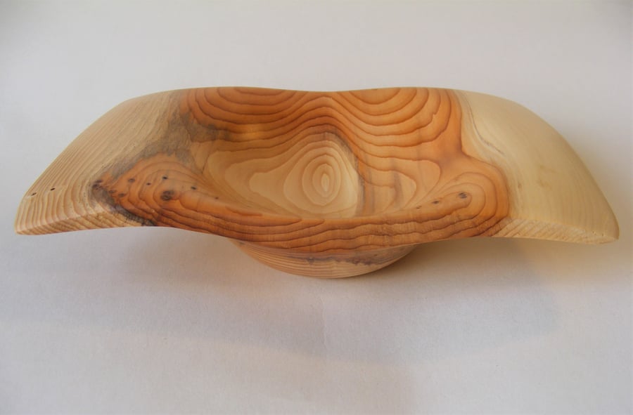 Winged Yew bowl